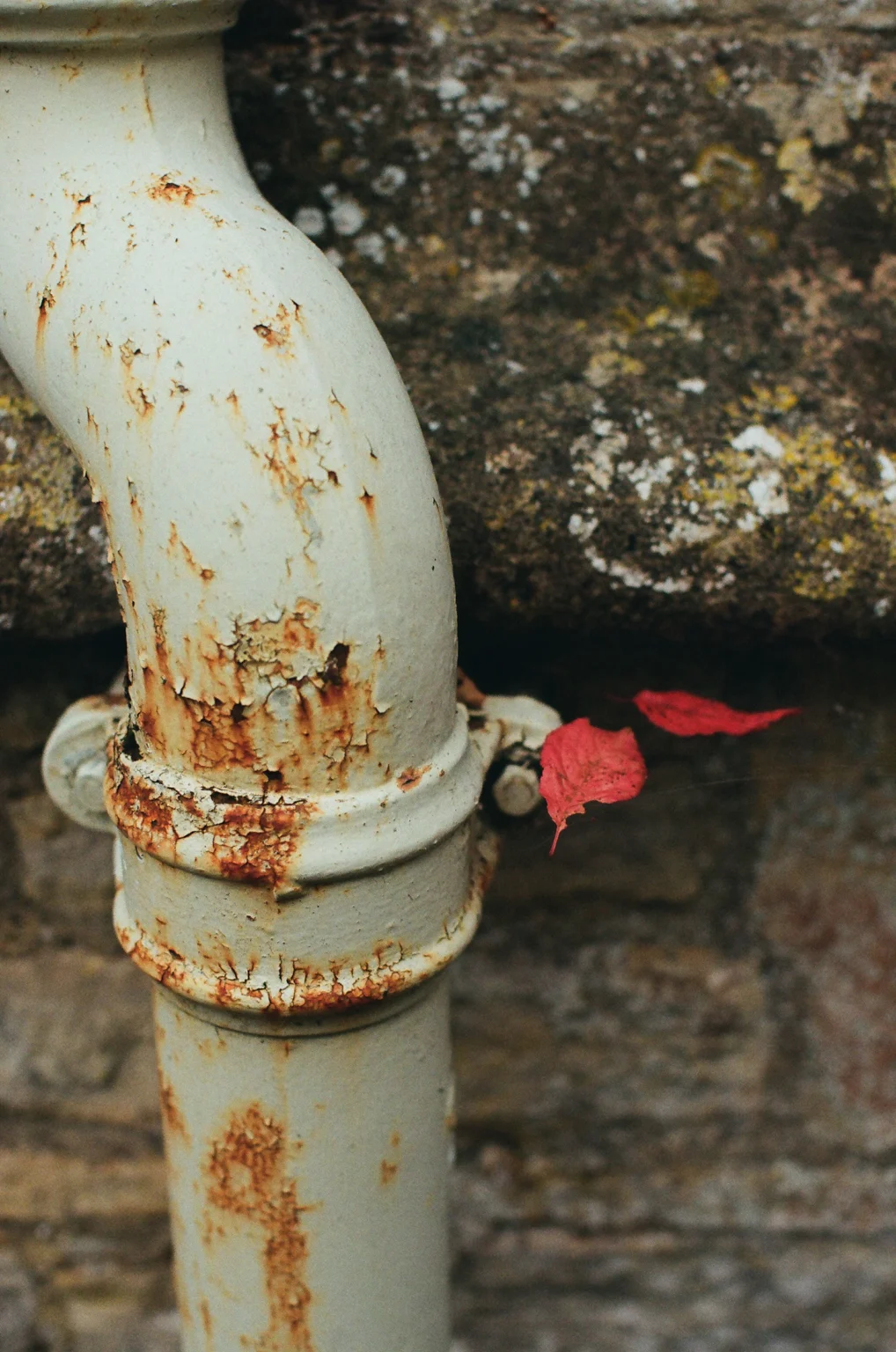 Downspout running down a house wall